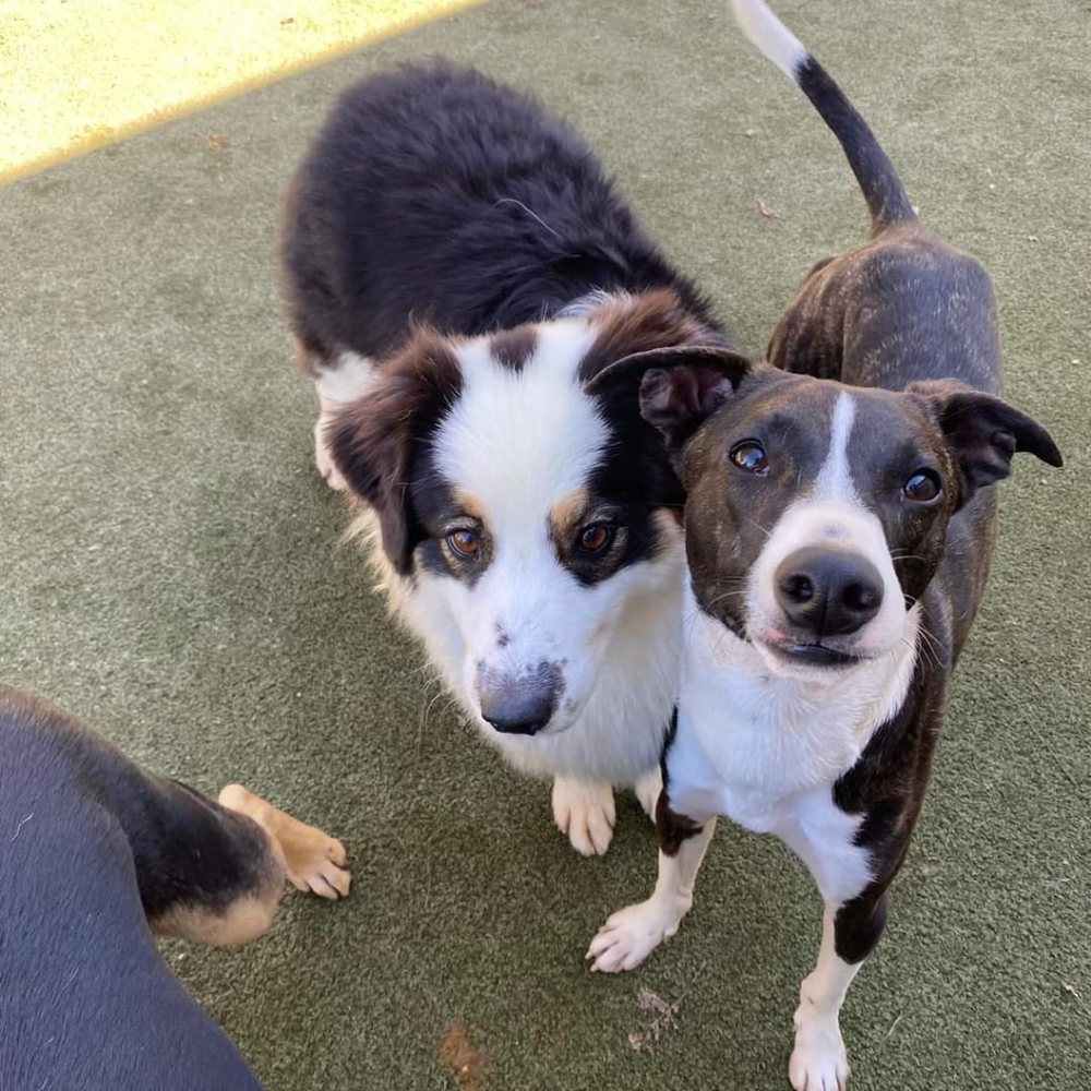 Meet your Posher, Marlene